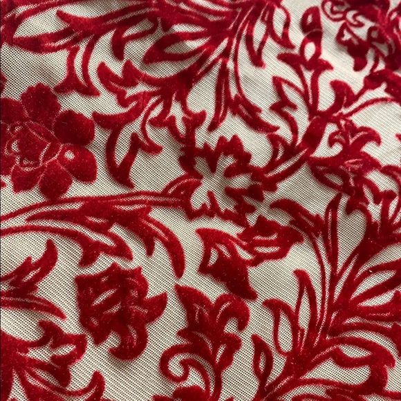 Mesh Body Suit with Velvet Detail - Picture 2 of 4